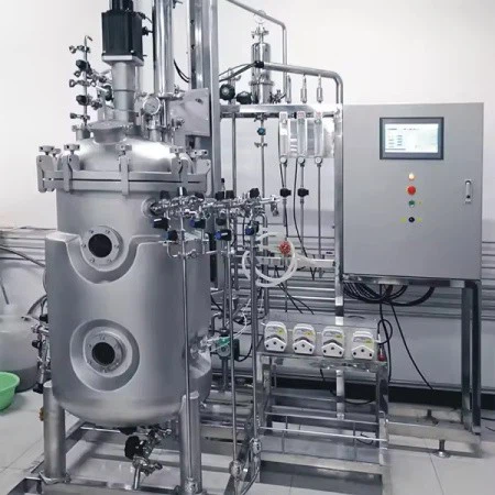 Stirred Bioreactor Fermenter